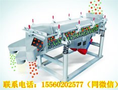 湖南王總需要的DZSF直線振動篩今天發貨！